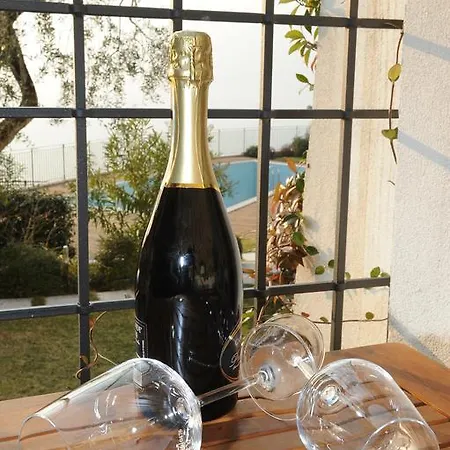 Borgo Borago Apartment Brenzone sul Garda